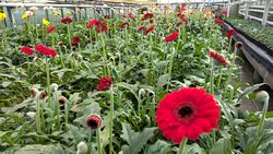 Der Fr�hling ist da!