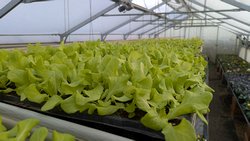 Der Fr�hling ist da!