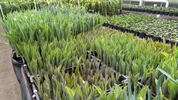 Der Fr�hling ist da!