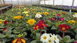 Der Fr�hling ist da!